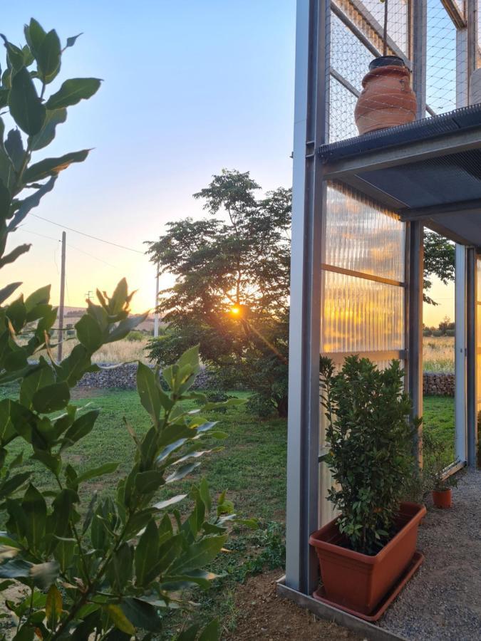 Anonima Agricola Alojamento de Turismo Rural *